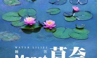 雨花亭凯德广场电影院今天有什么电影 成都凯丹广场电影院